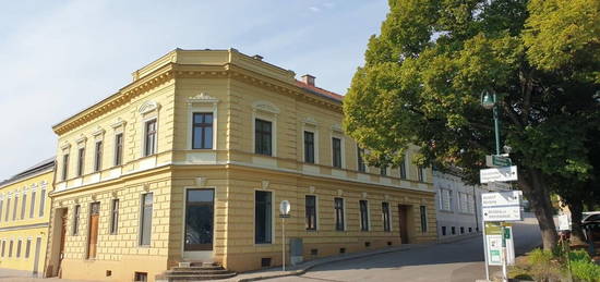 WOHNEN MIT STIL UND FLAIR IM BÜRGERHAUS SAMT ALTBAUJUWEL: KLEINER, VERWUNSCHENER, GEPFLEGTER GARTEN MIT GROSSZÜGIGER WOHNMÖGLICHKEIT UND ENTWICKLUNGSP