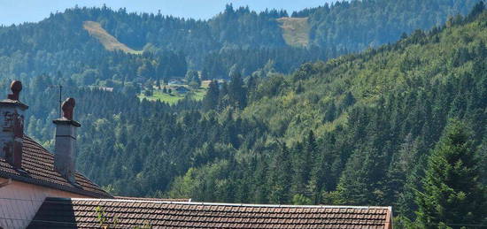 (Hautes - Vosges) VENTRON - DUPLEX 2 chambres, entièrement meublé avec parking prié cellier à ski, local vélo