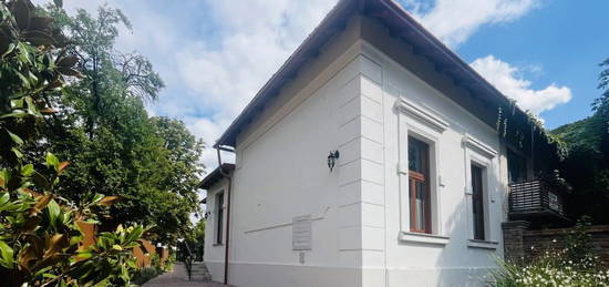 Luxury apartment in the heart of Gyula