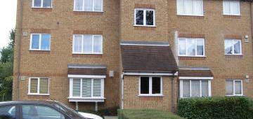 1 bed flat to rent