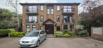 3 bed flat to rent