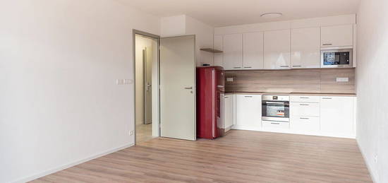 Pronájem bytu 2+kk 67 m²