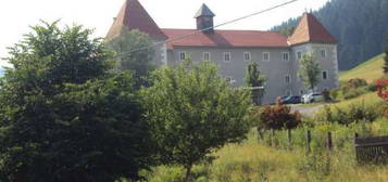 Sanierte Mietwohnung im Schloss Weyer, Judenburg