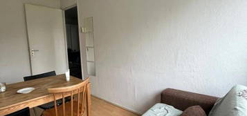 House Spieghel Looking for a Roommate