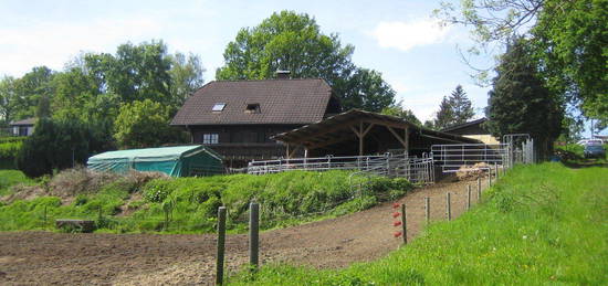 BAUERNHOF - PFERDEHOF - 7 HEKTAR WEIDE DIREKT AM HAUS