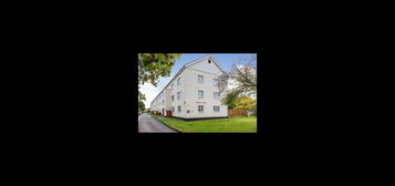 2 bed flat to rent