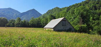 Grange avec terrain attenant