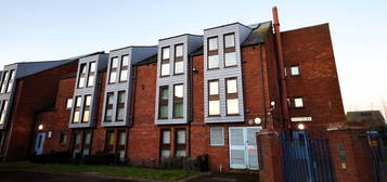 1 bed flat to rent