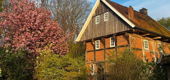 Wohnung/Haus/Mietwohnung/Speicher