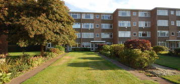 3 bed flat to rent