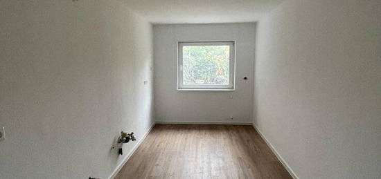 renovierte Souterrain Wohnung- in Weingarten!