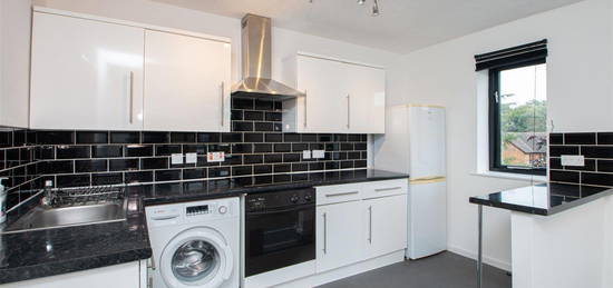 1 bed flat to rent