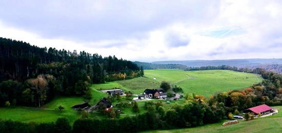 Traumhaftes Anwesen in idyllischer Lage an der Schweizer Grenze