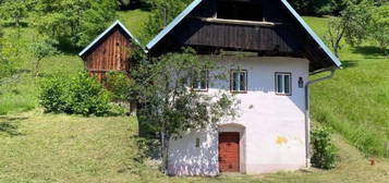 Charmantes Landhaus für Ihr gemütliches Eigenheim oder Zweitwohnsitz in Seengebiet