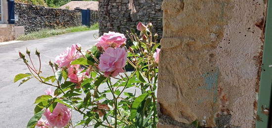 Maison Atypique se situant dans plus beau village de France