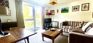 1 bed flat to rent