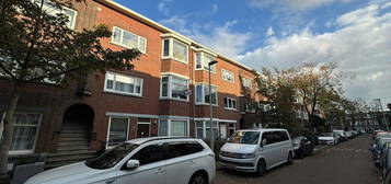 Hulshorststraat 234