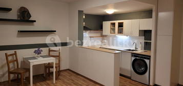 Pronájem bytu 1+kk 47 m², Hlivická, Hlavní město Praha