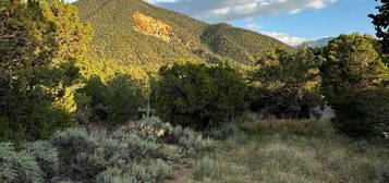 224 Cabrestro Blvd, Questa, NM 87556