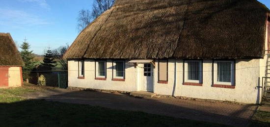 Chausseehof: Resthof mit Bauernhaus, Scheune, Stall und Weide zu verkaufen!