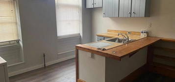 423 S 8th St Apt 1F, Philadelphia, PA 19147