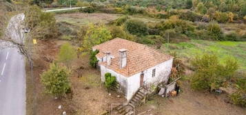 Quinta em Moimenta da Beira com 10 hectares a 1000m do centro