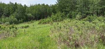 SE-16-50-20-W4 Twp 502, RR 203A, Rural Beaver County, Alberta