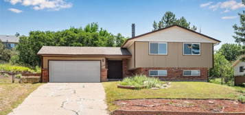 230 Douglas Fir Ave, Castle Rock, CO 80104