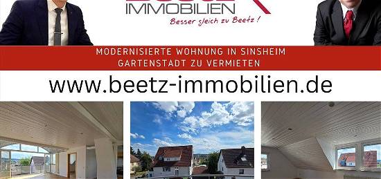 Modernisierte Wohnung in Sinsheim Gartenstadt ZU VERMIETEN