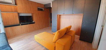 Studio Stefan Cel Mare-Complex C-entral-500 Euro-580 Euro cu Parcare