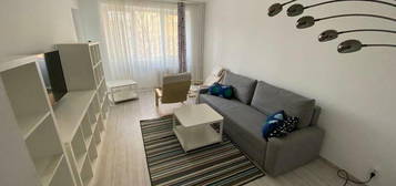 Apartament 3 camere Tineretului / Trestiana - renovat / mobilat