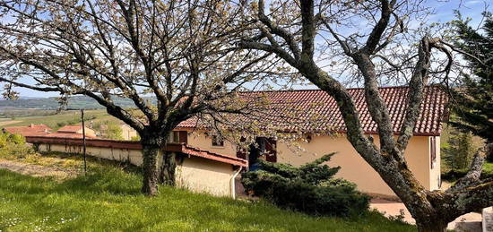 Theizé - Villa 4 chambres - Terrain 4 200 m²