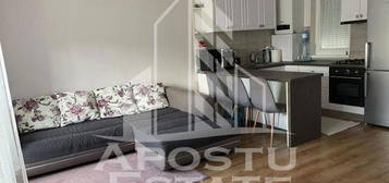 Apartament 2 camere Dumbravita zona centrala