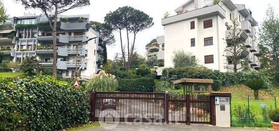 Appartamento in Via Misurina 98