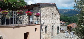 Casa colonica via dei Colli, San Romano in Garfagnana