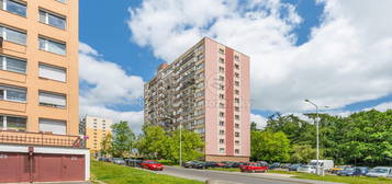 Prodej bytu 2+1, 60 m2, Kladno, ul. Ukrajinská
