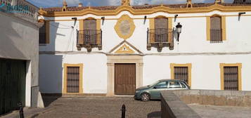 Medina de las Torres