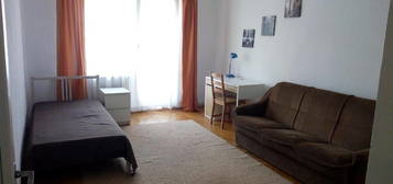 Apartament o camera, Sarguintei