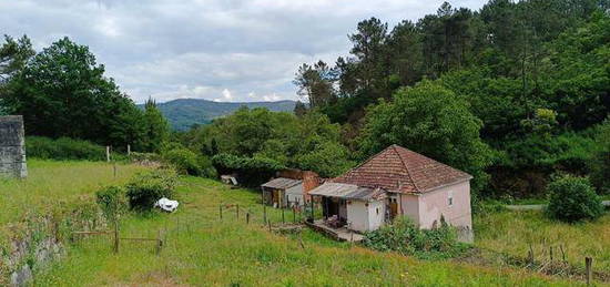 Caldelas de Berán - Ribadavia