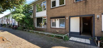 Nicolaas Maesstraat 37