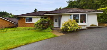 3 bedroom detached bungalow to rent