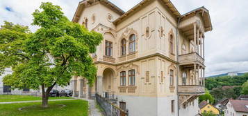 WG-taugliche Wohnung/Studentenwohnung in Stadtvilla mitten in Steyr, nahe der FH