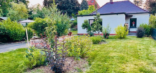 Wundervolle Wohnung im Grünen