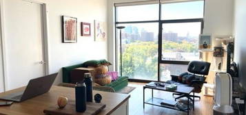 333 Atlantic Ave Apt 7A, Brooklyn, NY 11201