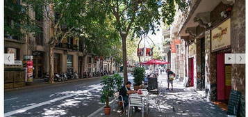 Piso en L'Antiga Esquerra de l'Eixample, Barcelona