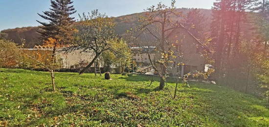 Sehr gut bebaubare Liegenschaft mit eigenem Wald