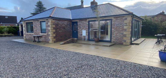 Bungalow to rent in Church View Close, Waverton, Wigton CA7