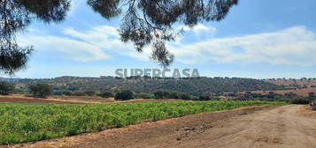 Herdade 52 Hectares