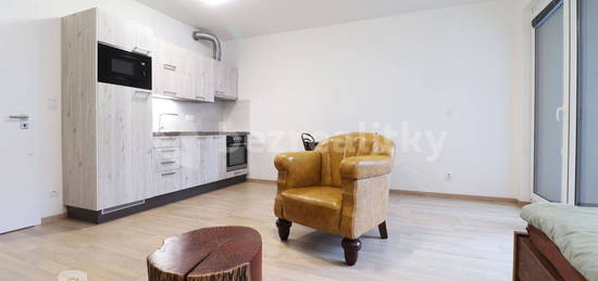 Pronájem bytu 1+kk 35 m², Olgy Havlové,