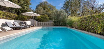 Collobrieres tres belle propriete avec piscine et vue panoramique